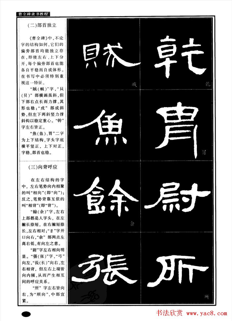 鷨ȫ̡̳(25)