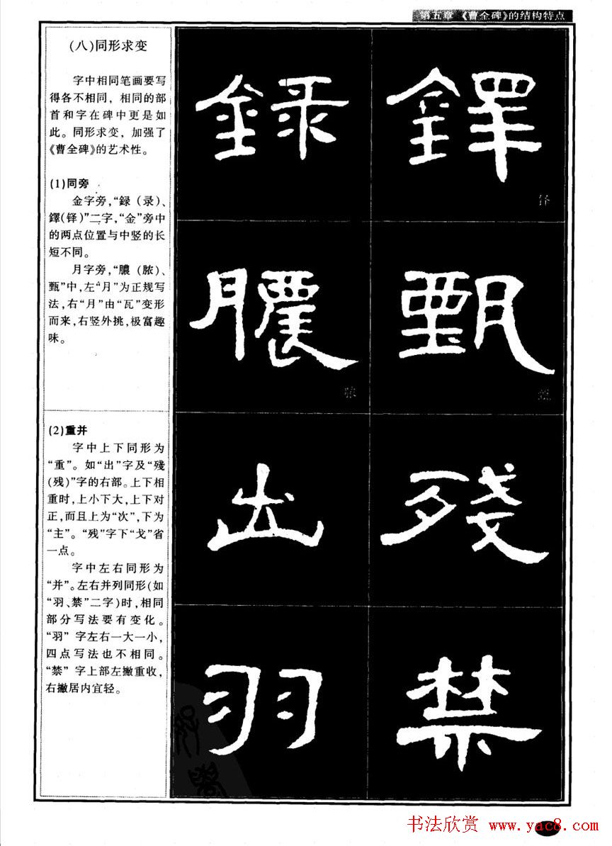 鷨ȫ̡̳