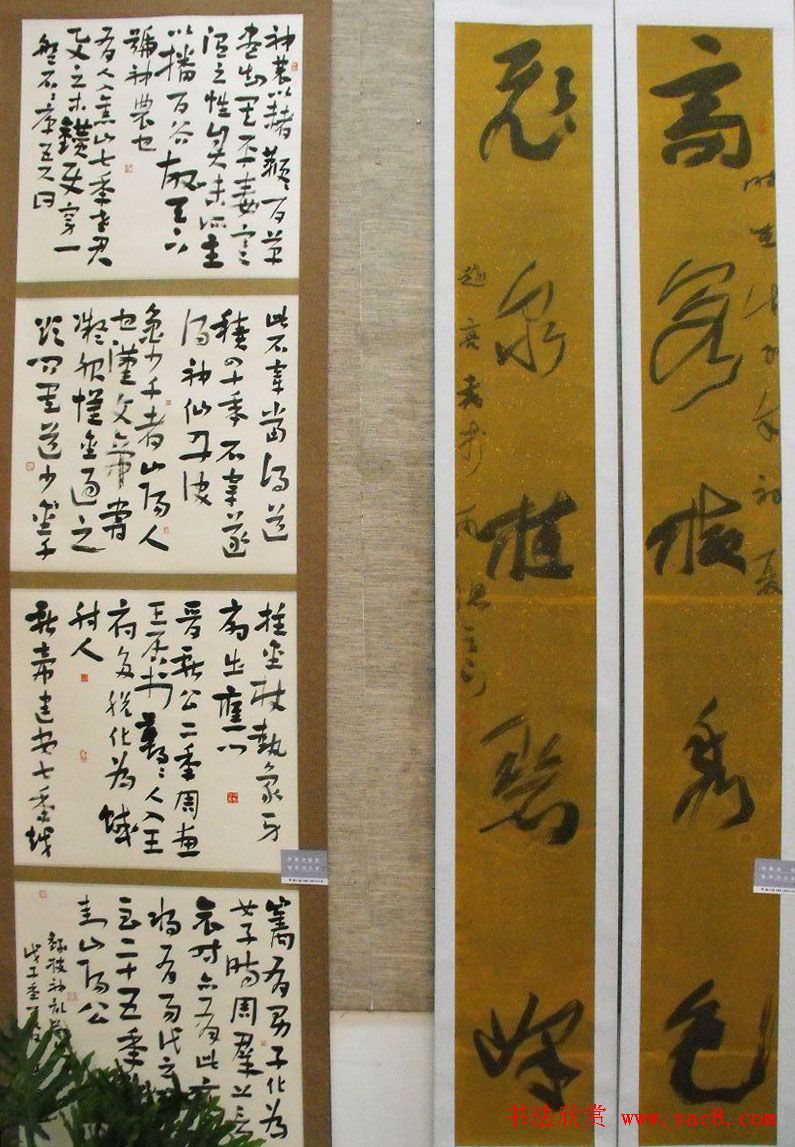 全国第二届草书展入展作品欣赏 - 第12页 _书法展览