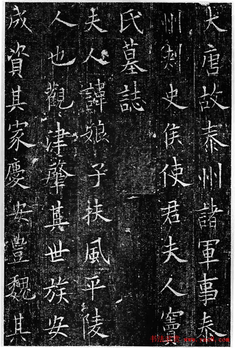 11-19 鷨Ʒ 11-19 ͤʮ֮֡ŷѯ