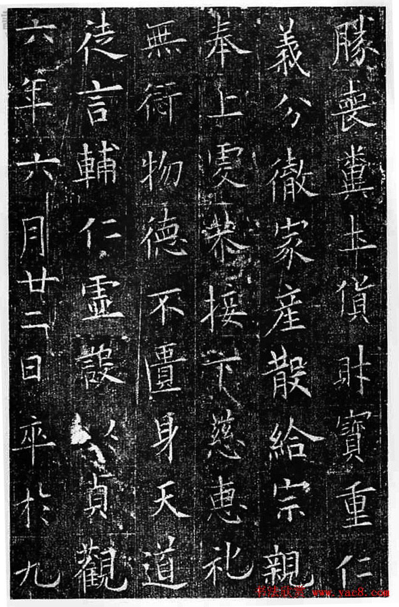 ŷѯ鷨Ĺ־()
