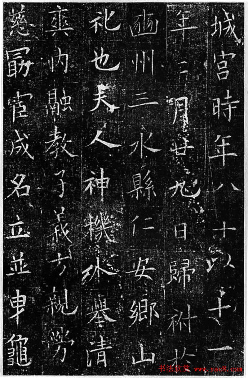ŷѯ鷨Ĺ־()