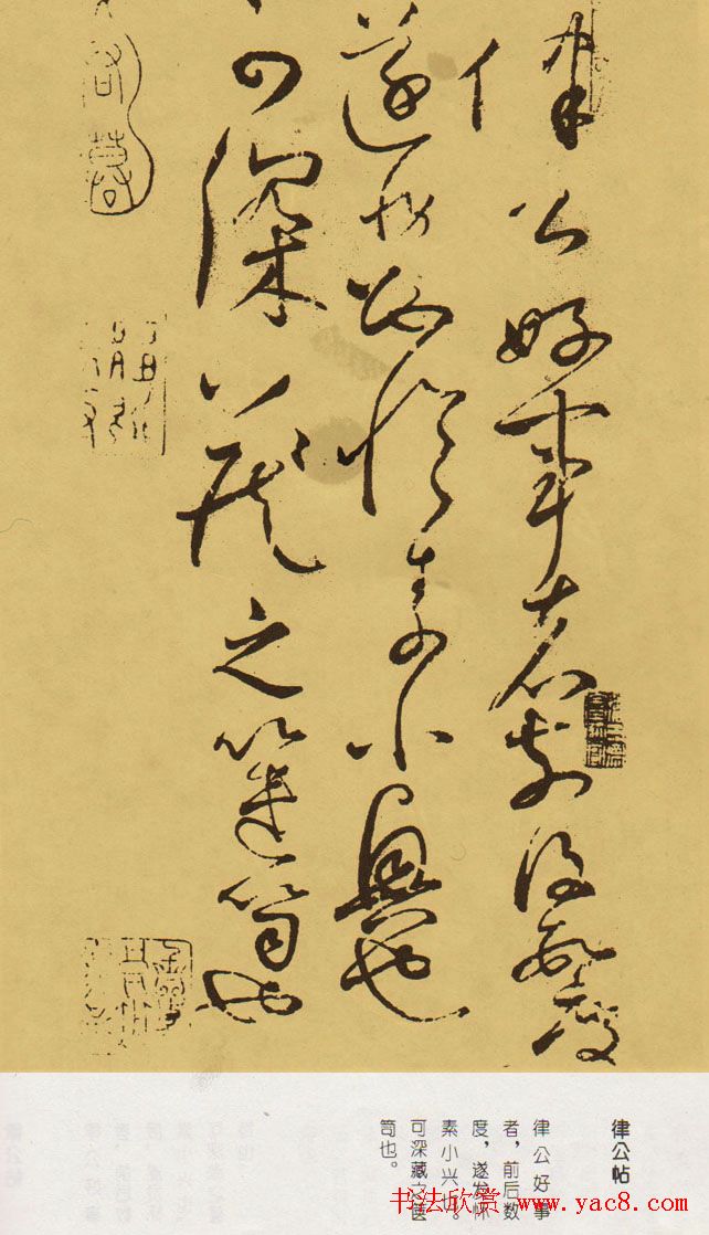 ز顶͡ɹ