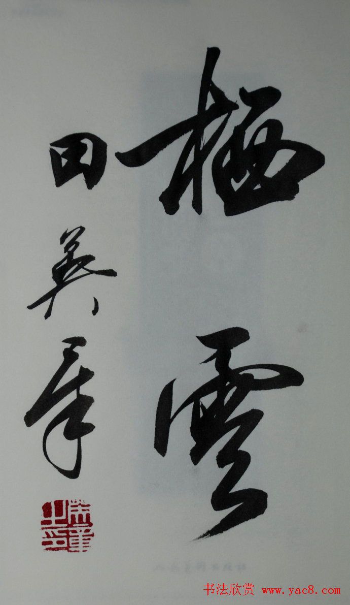 田英章2字行草书法作品第二辑14