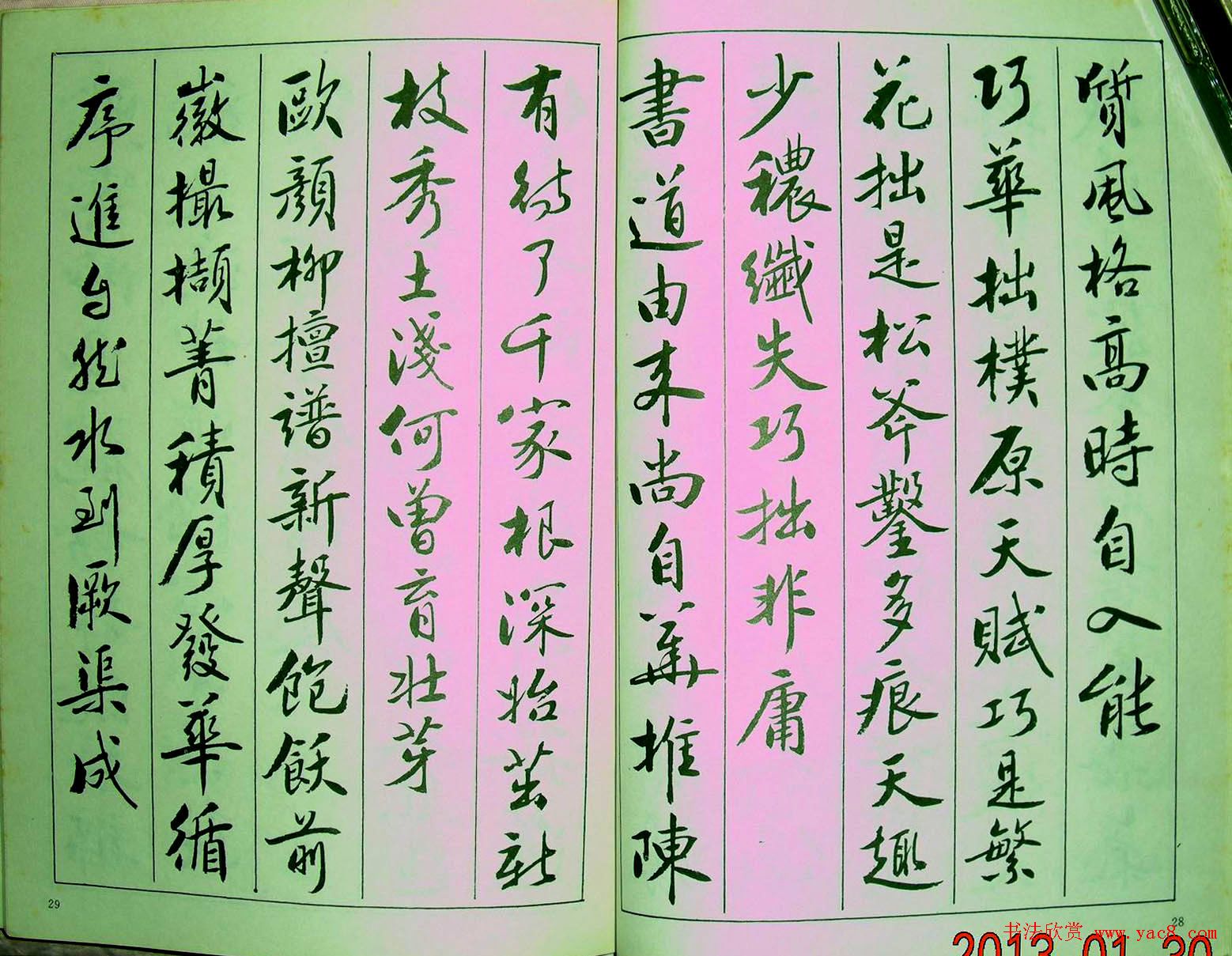 鷶.ס