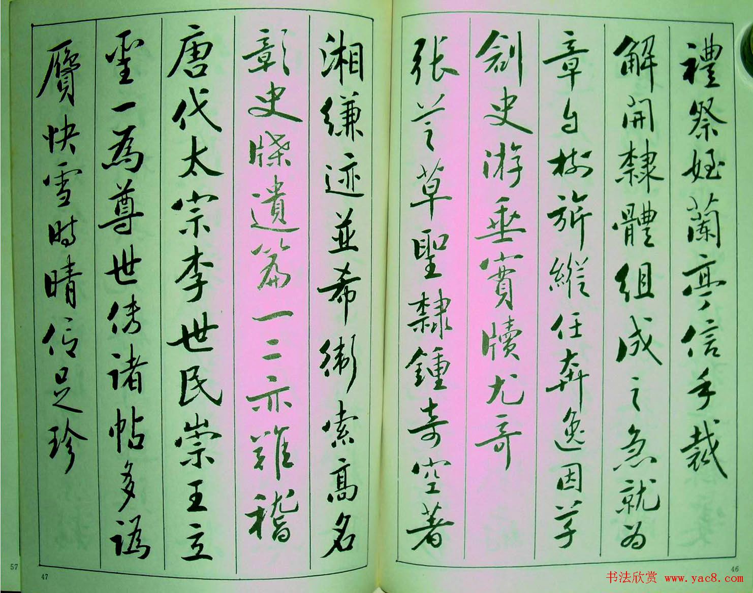 鷶.ס