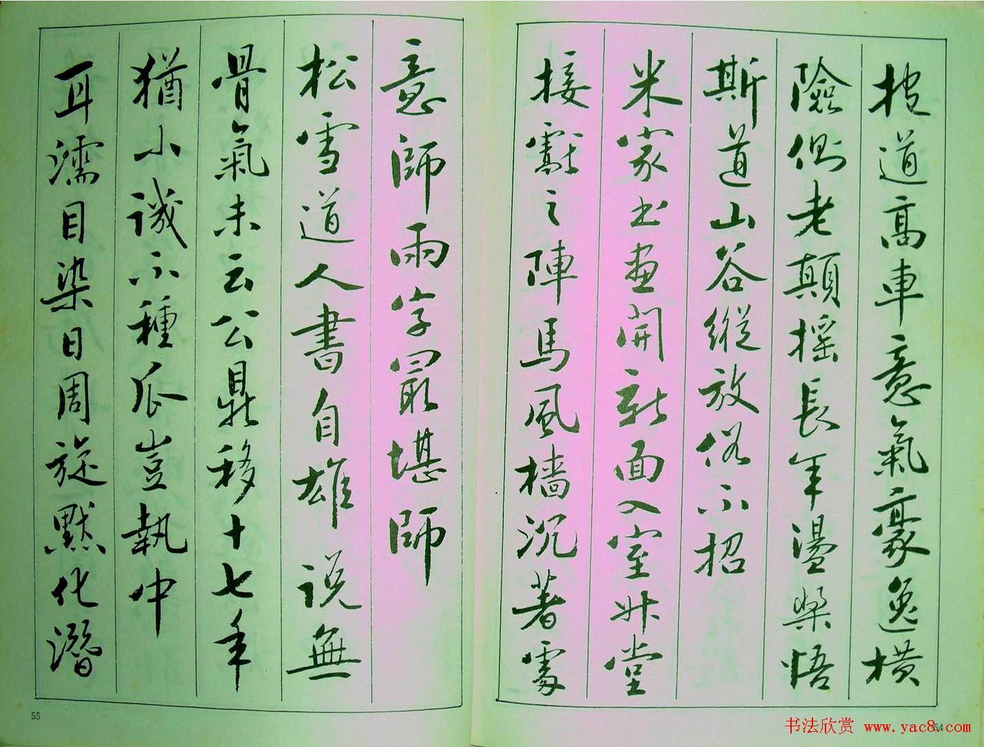 鷶.ס