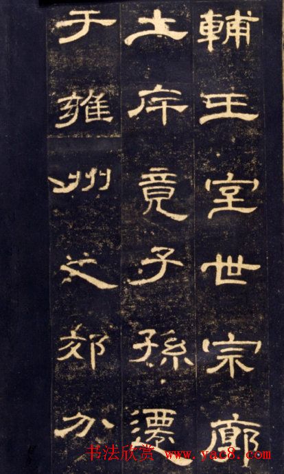 鱮͡ȫ(4)