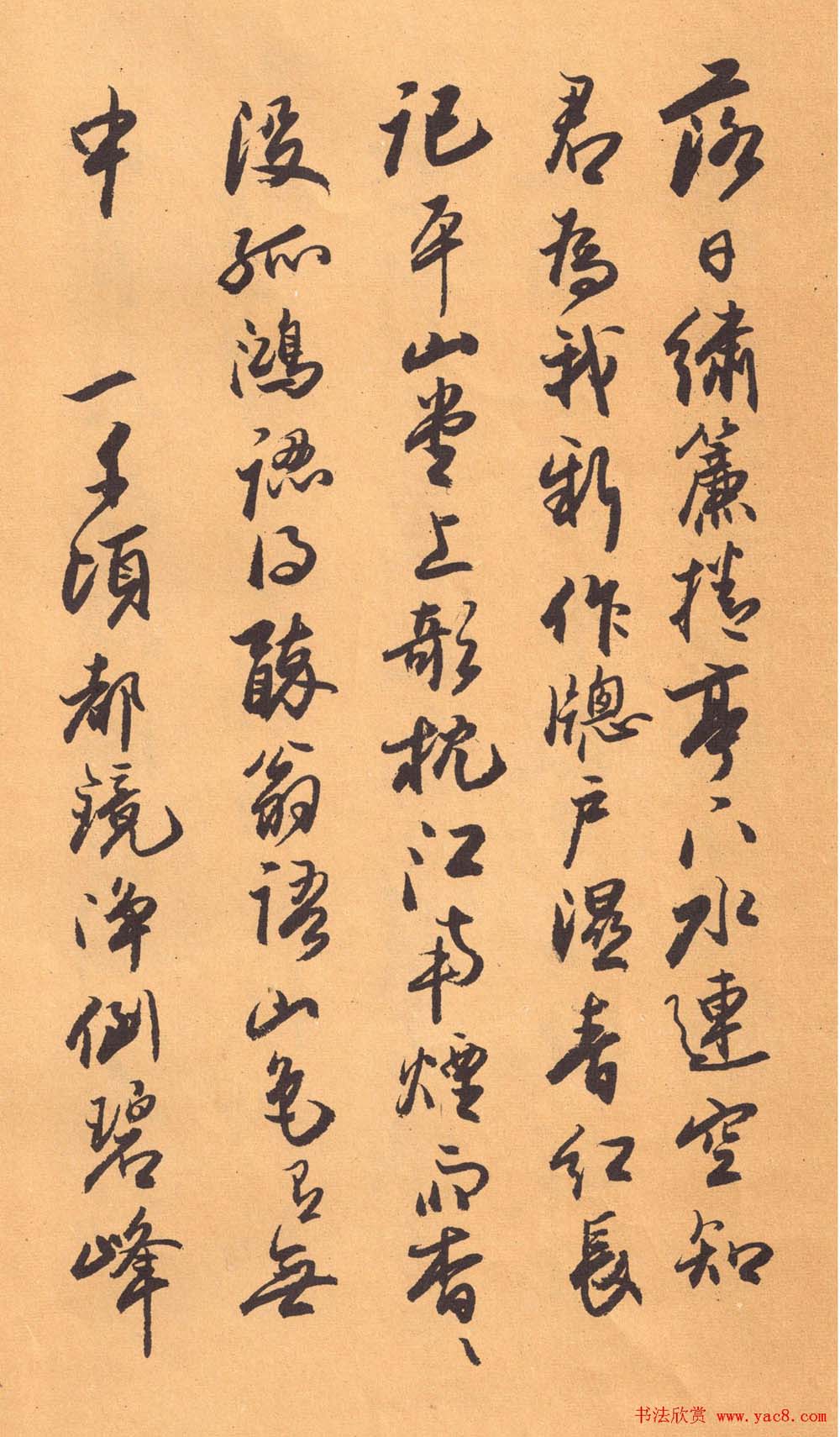 ŷʯ鷨ʯҹʳ