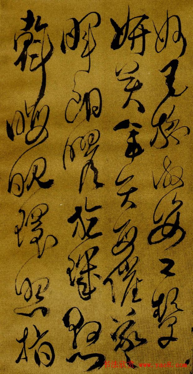 ɽƷǧġ(31)