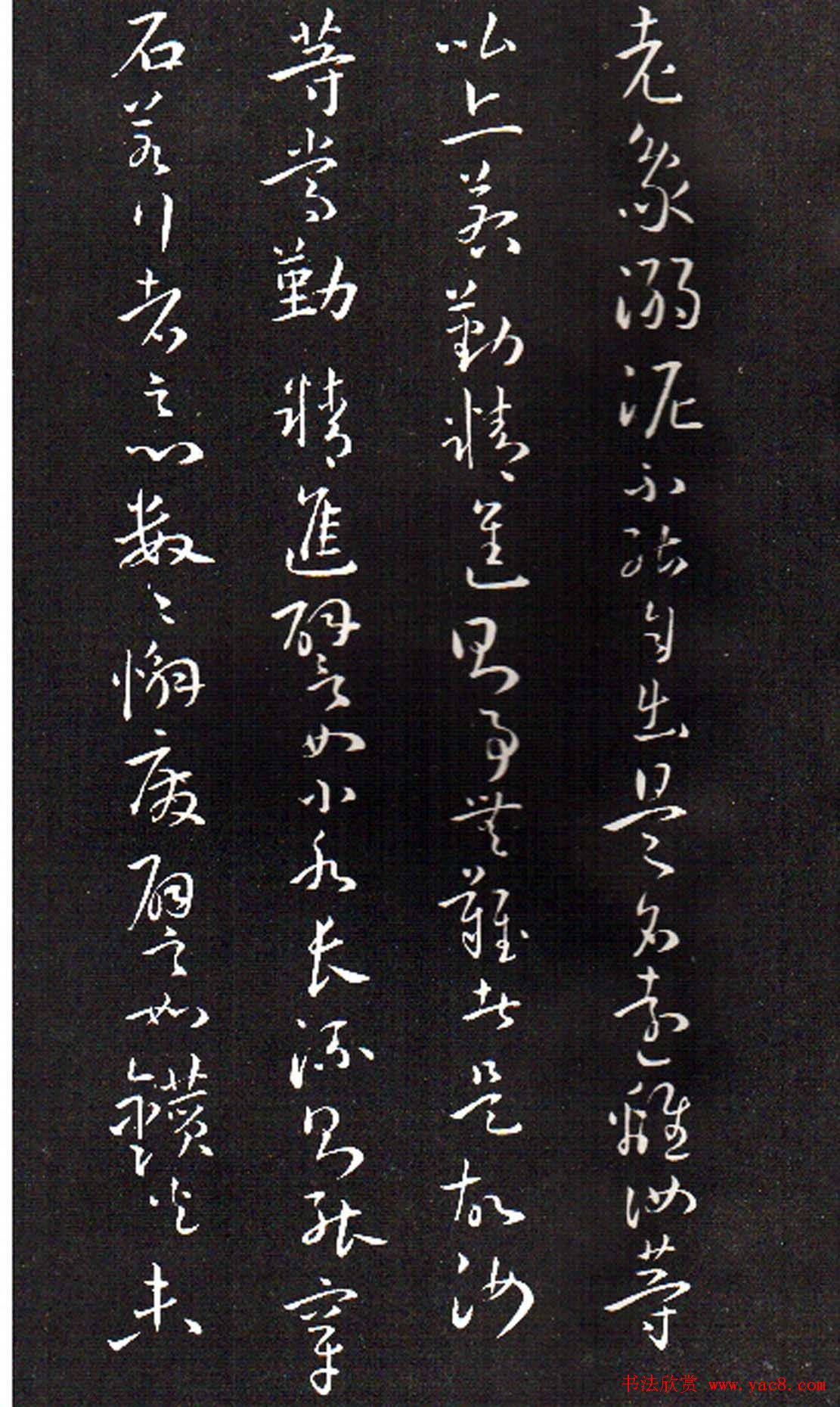 ���ͥ�������͡����Ž̾���