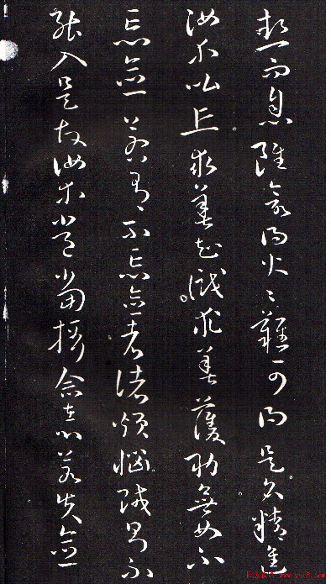 ���ͥ�������͡����Ž̾���