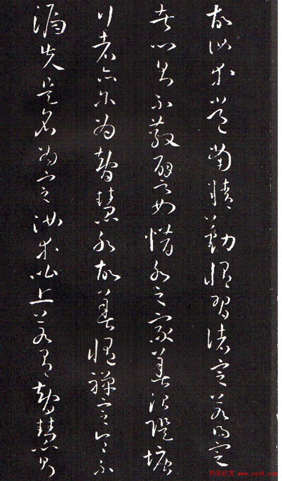 ���ͥ�������͡����Ž̾���