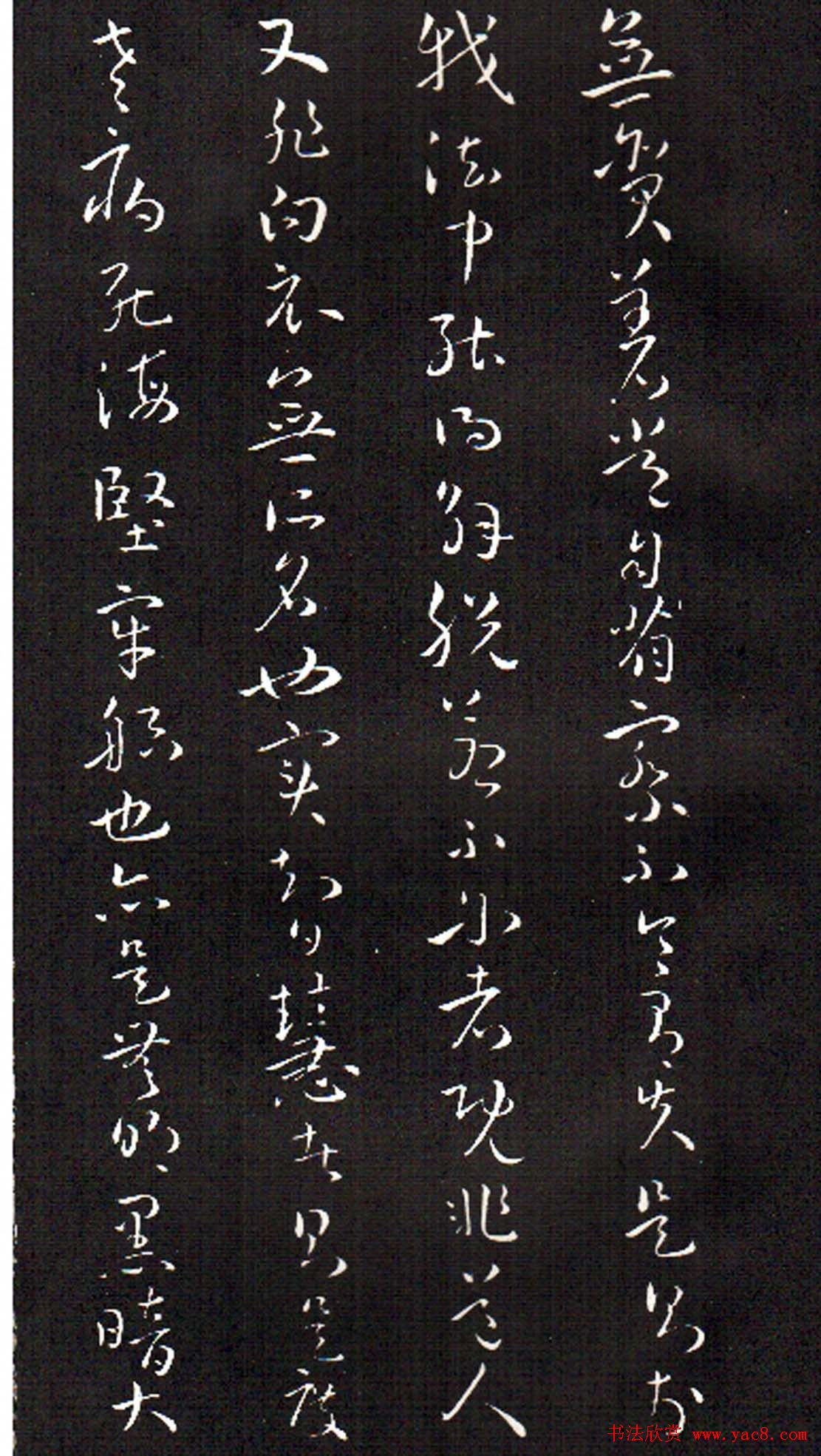 ���ͥ�������͡����Ž̾���