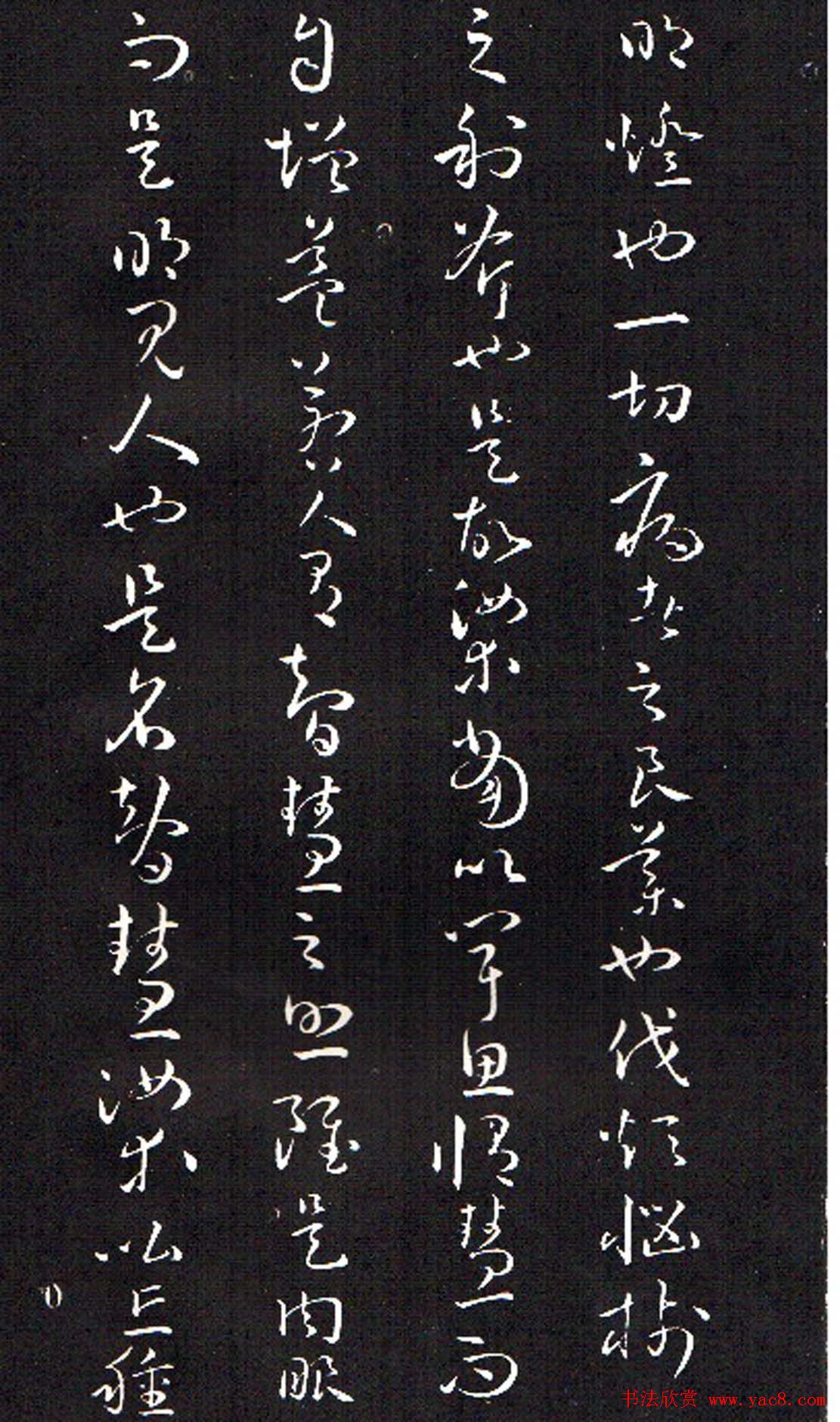 ���ͥ�������͡����Ž̾���