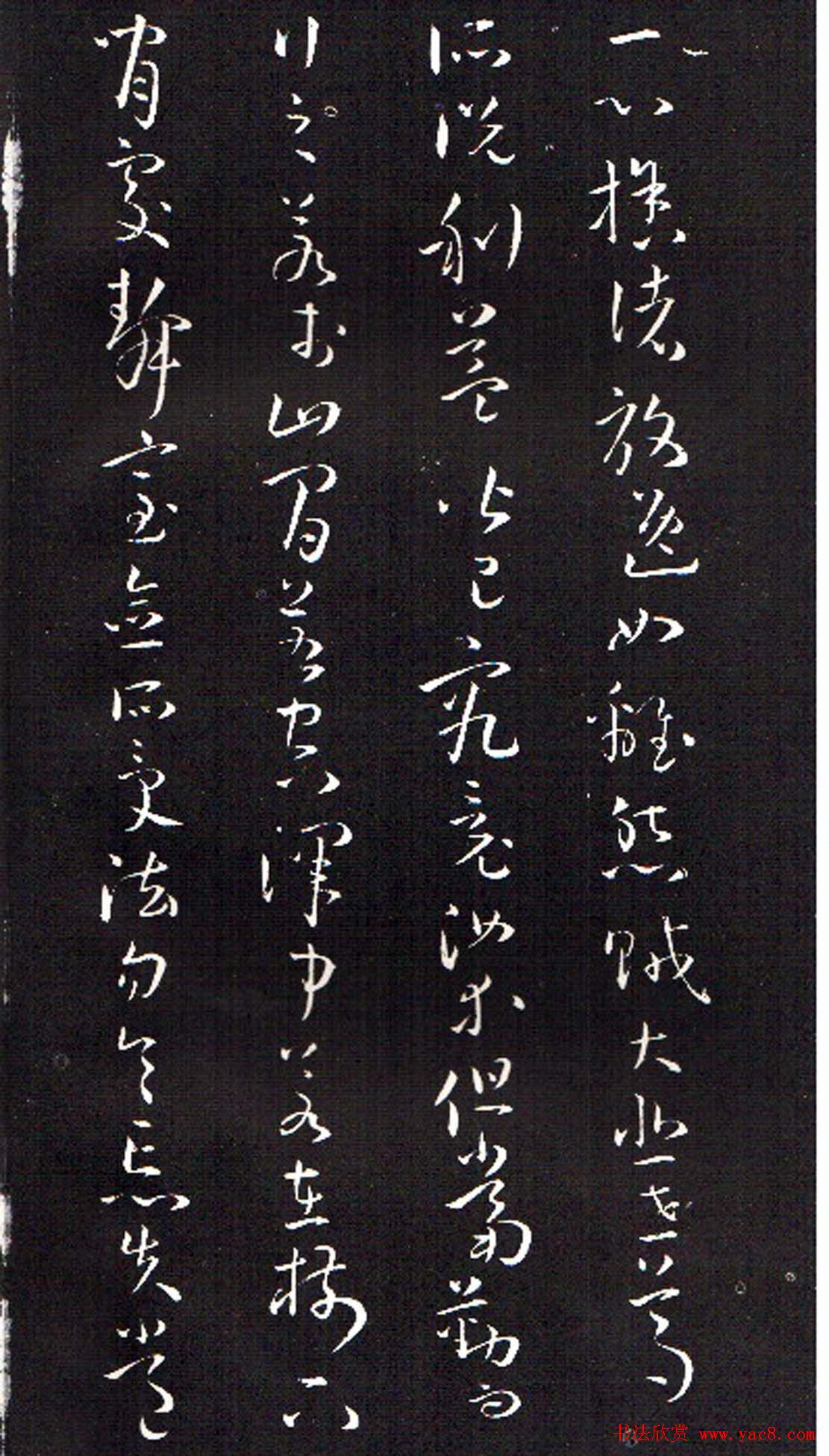 ���ͥ�������͡����Ž̾���