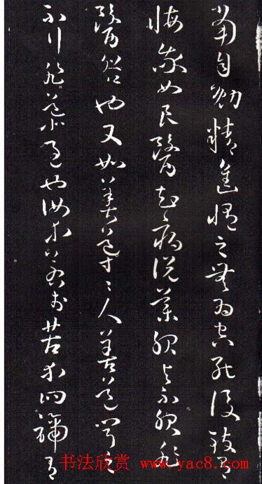 ���ͥ�������͡����Ž̾���