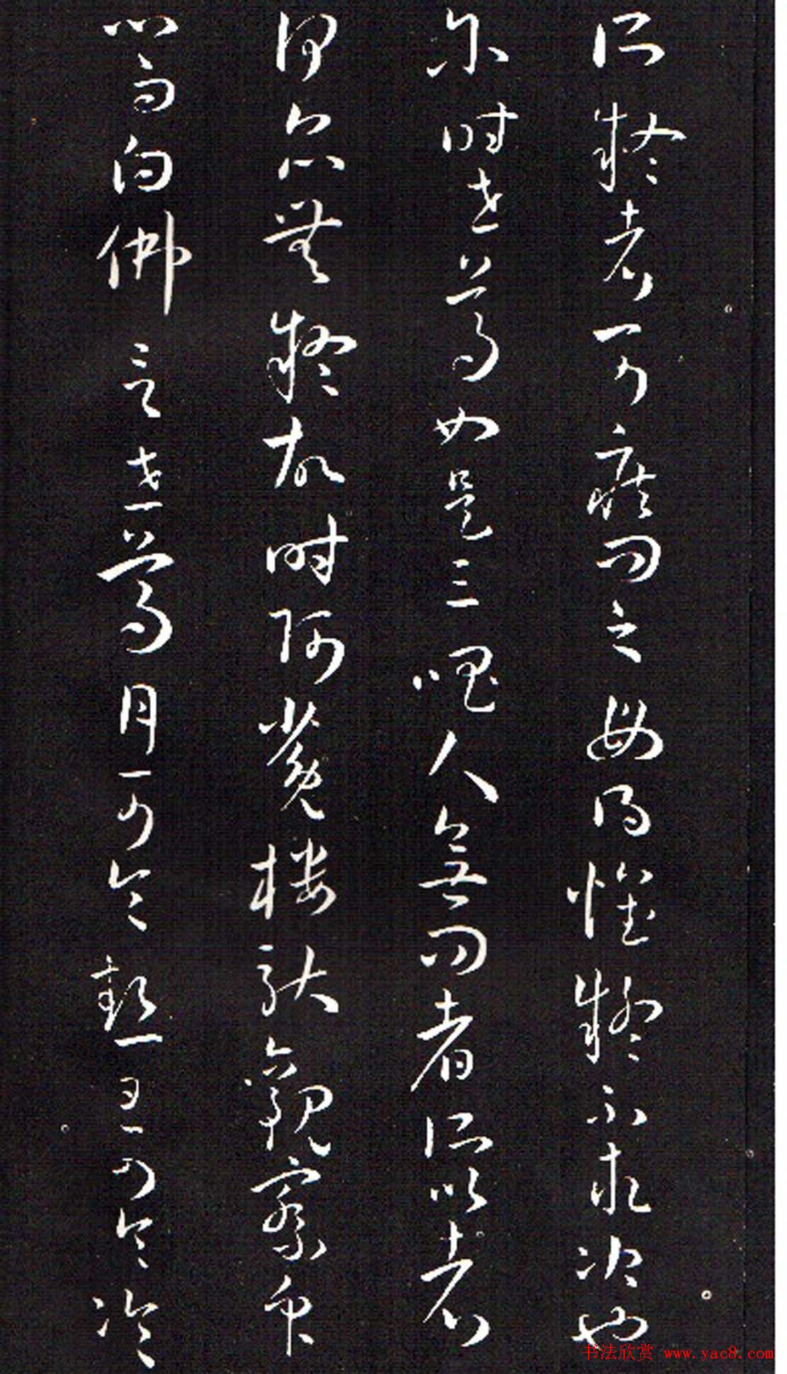 ���ͥ�������͡����Ž̾���