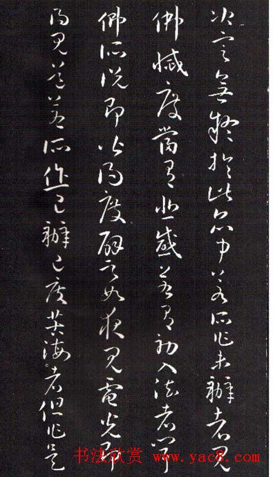 ���ͥ�������͡����Ž̾���