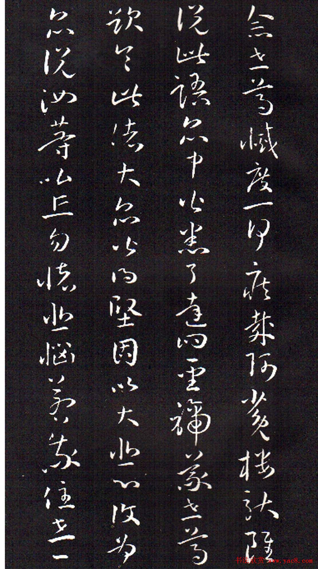 ���ͥ�������͡����Ž̾���