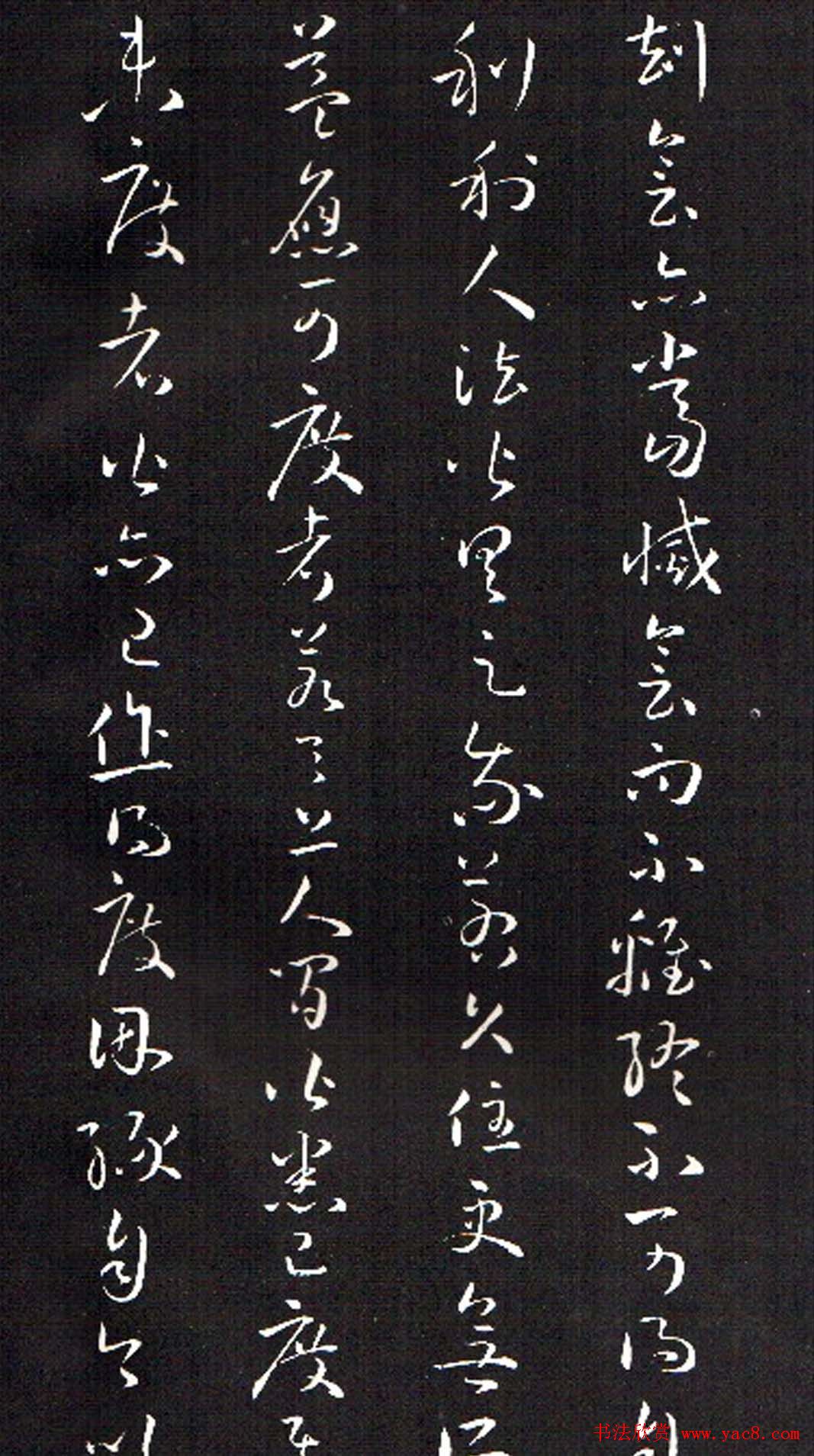 ���ͥ�������͡����Ž̾���