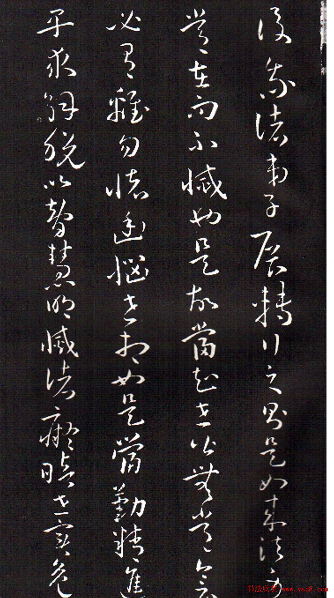 ���ͥ�������͡����Ž̾���