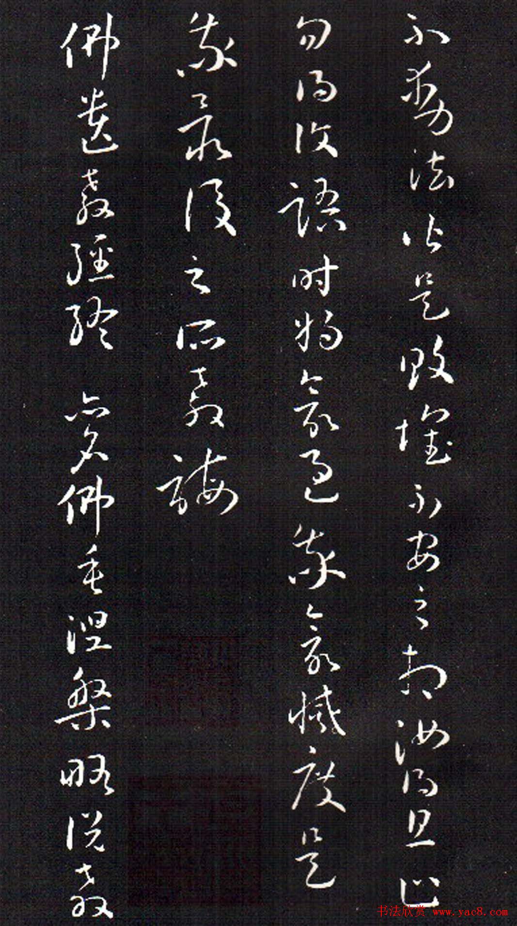 ���ͥ�������͡����Ž̾���