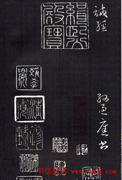 ���ͥ�������͡����Ž̾���