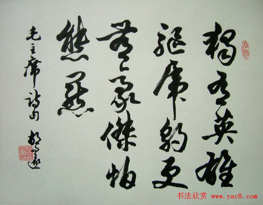鷨Ʒչʾר