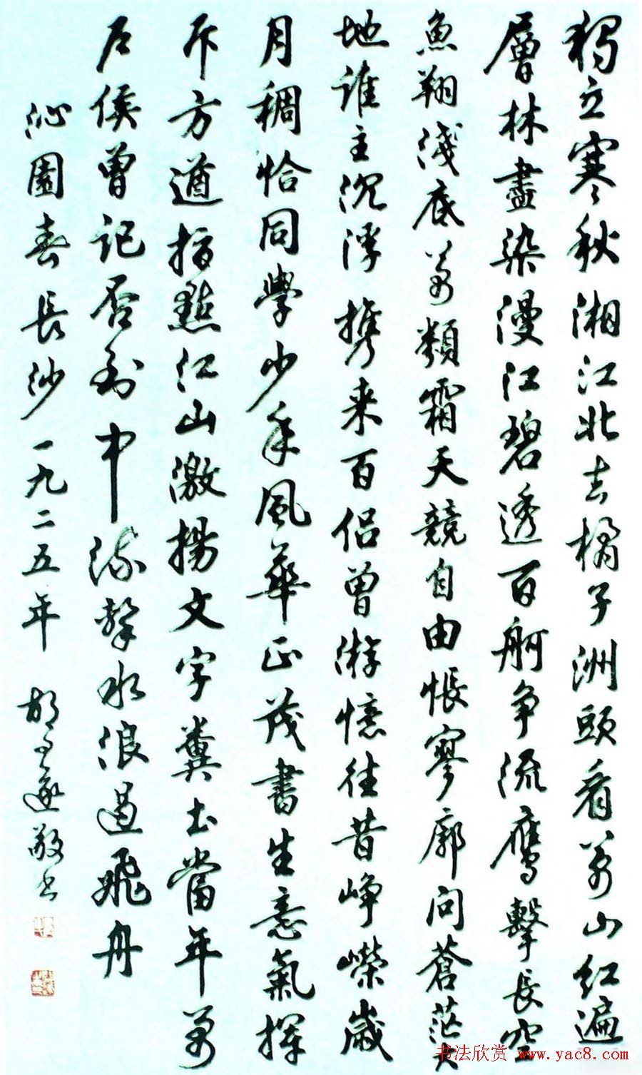 鷨Ʒչʾר