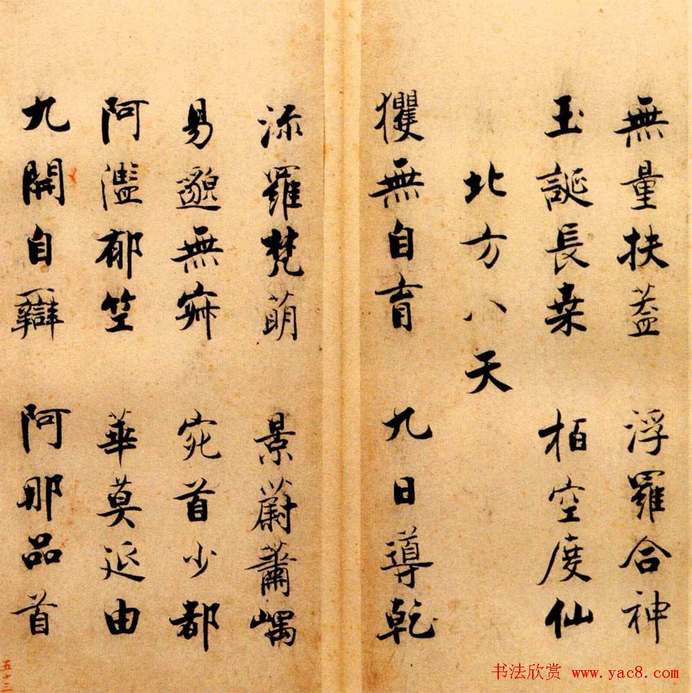 ż֮鷨˾