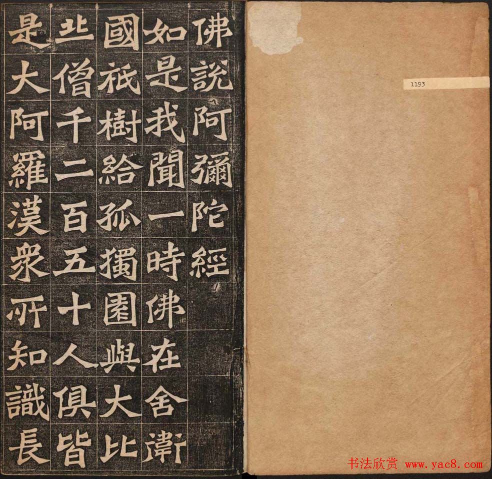 鷨͡˵Ӿ