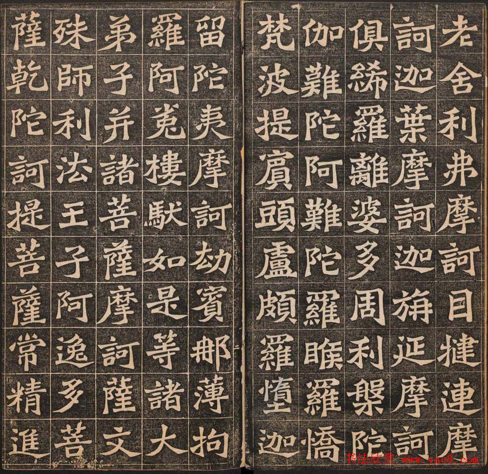 鷨͡˵Ӿ