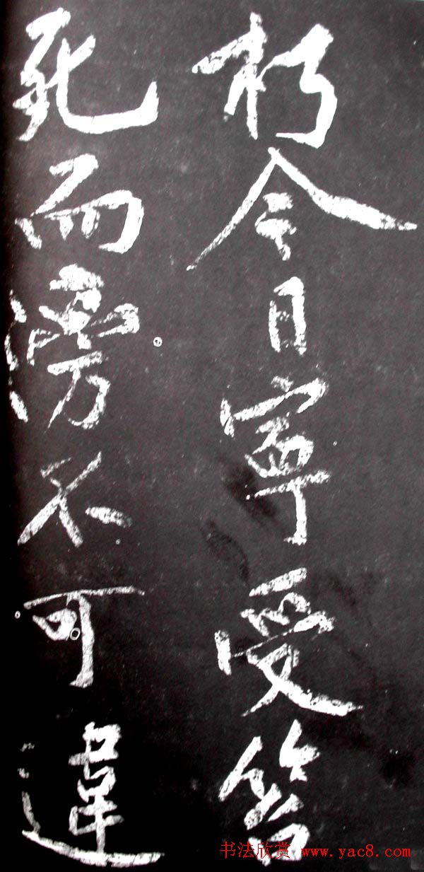 ��ͥ���������͡����贫��