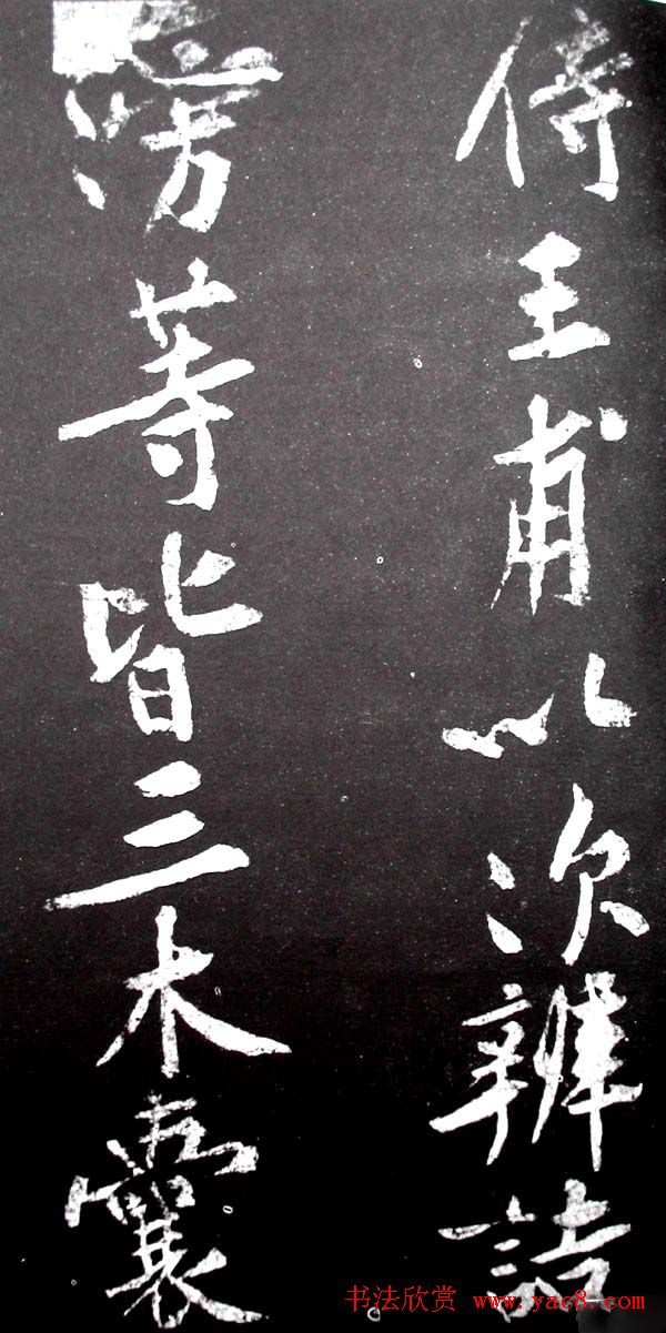 ��ͥ���������͡����贫��