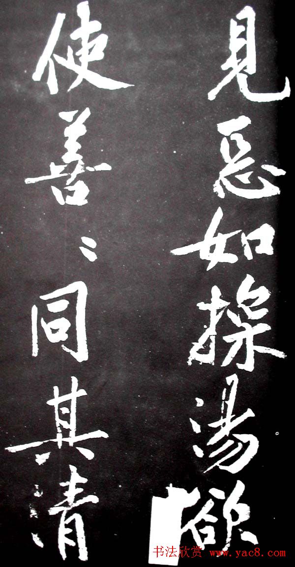 ��ͥ���������͡����贫��