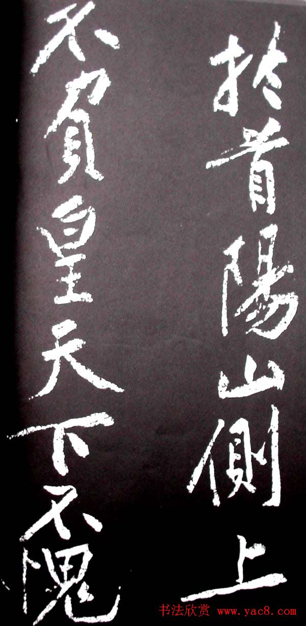 ��ͥ���������͡����贫��