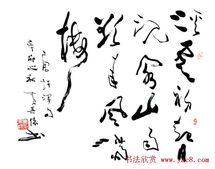 ⻳в鷨Ʒ