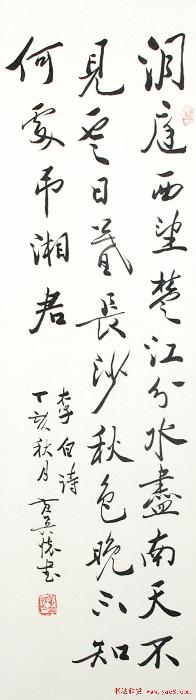 ⻳в鷨Ʒ
