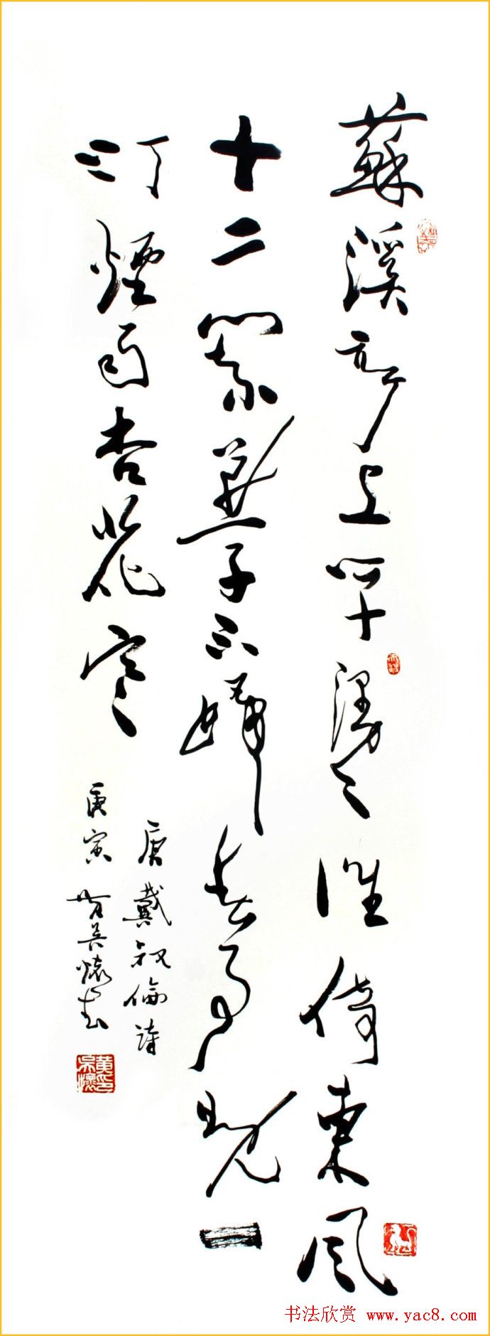 ⻳в鷨Ʒ