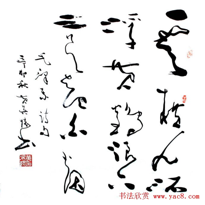 ⻳в鷨Ʒ