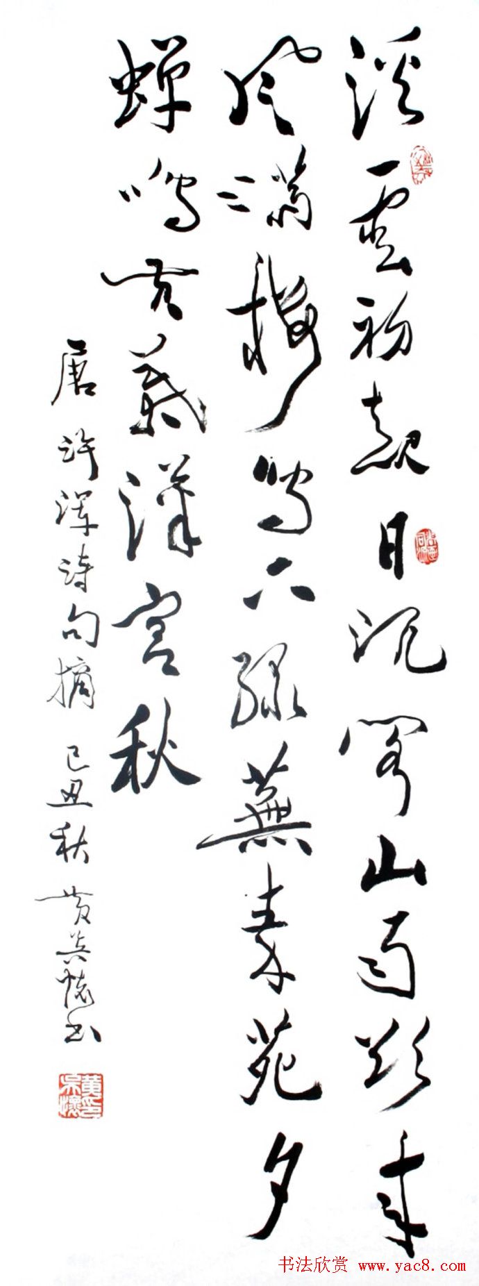 ⻳в鷨Ʒ