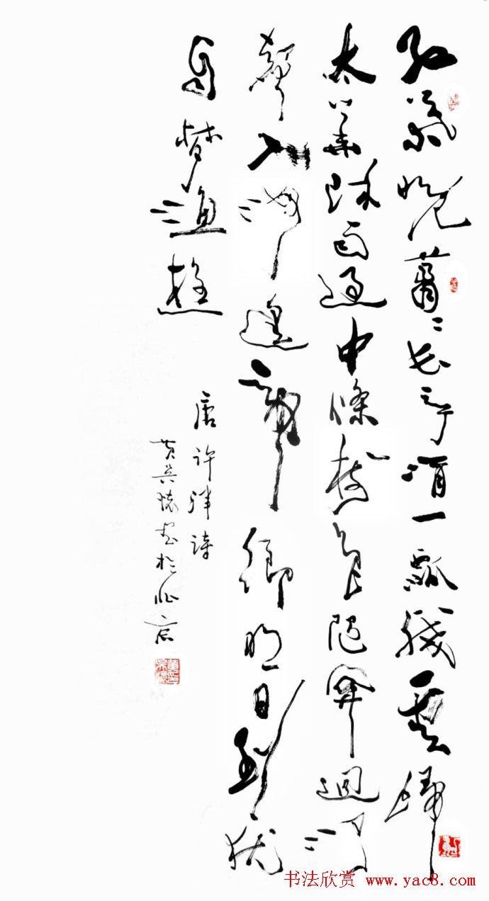 ⻳в鷨Ʒ