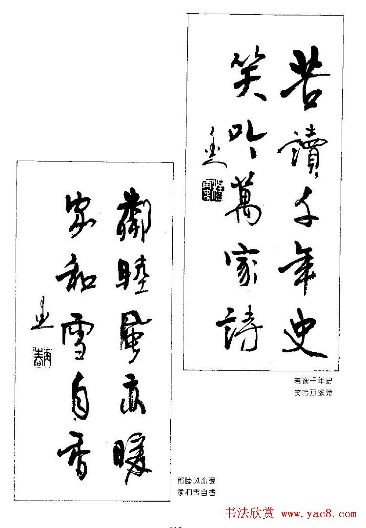 ٴ鷨ƷԶ