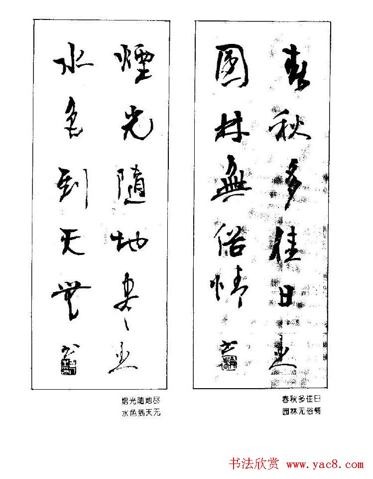 ٴ鷨ƷԶ