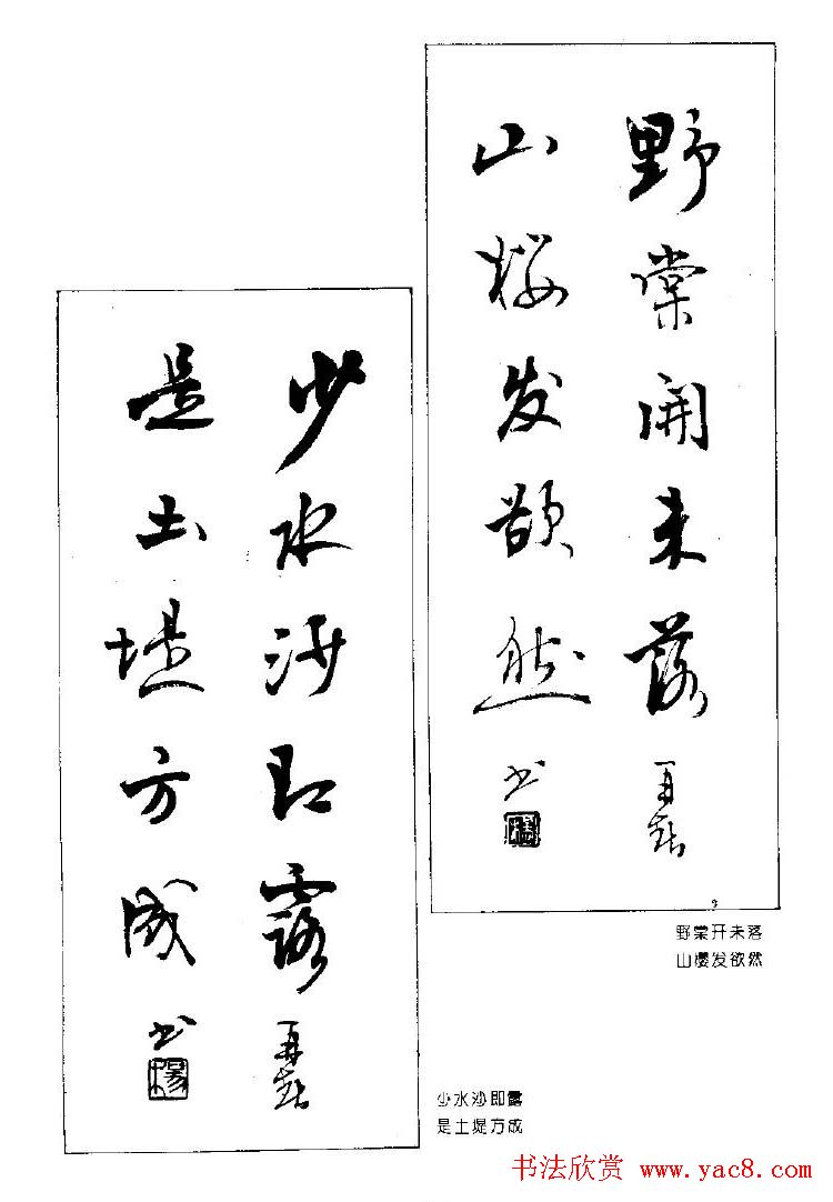 ٴ鷨ƷԶ