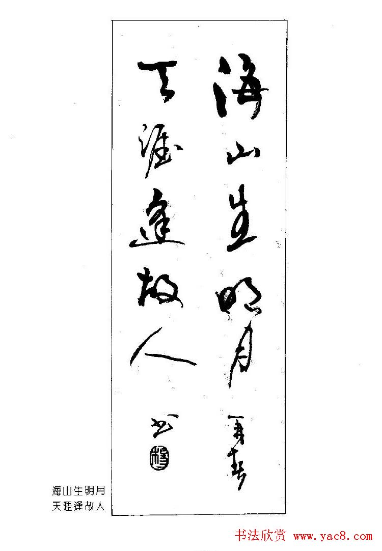 ٴ鷨ƷԶ