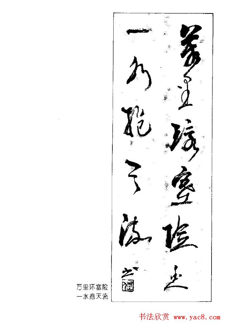 ٴ鷨ƷԶ