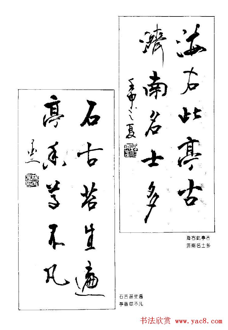 ٴ鷨ƷԶ