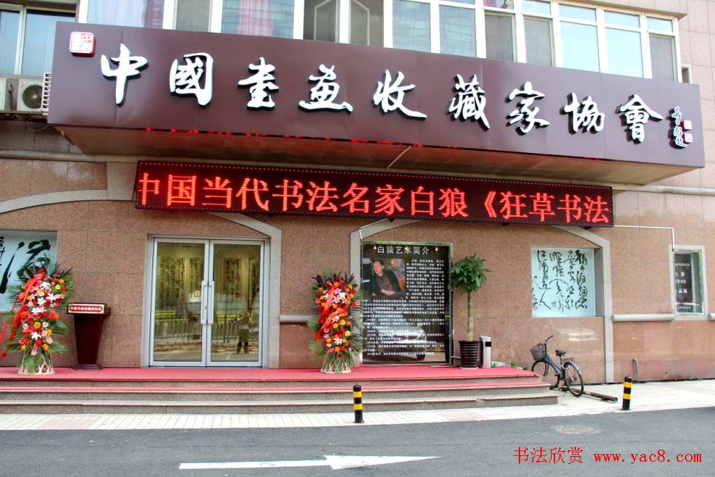 鷨Ұǡ鷨չ